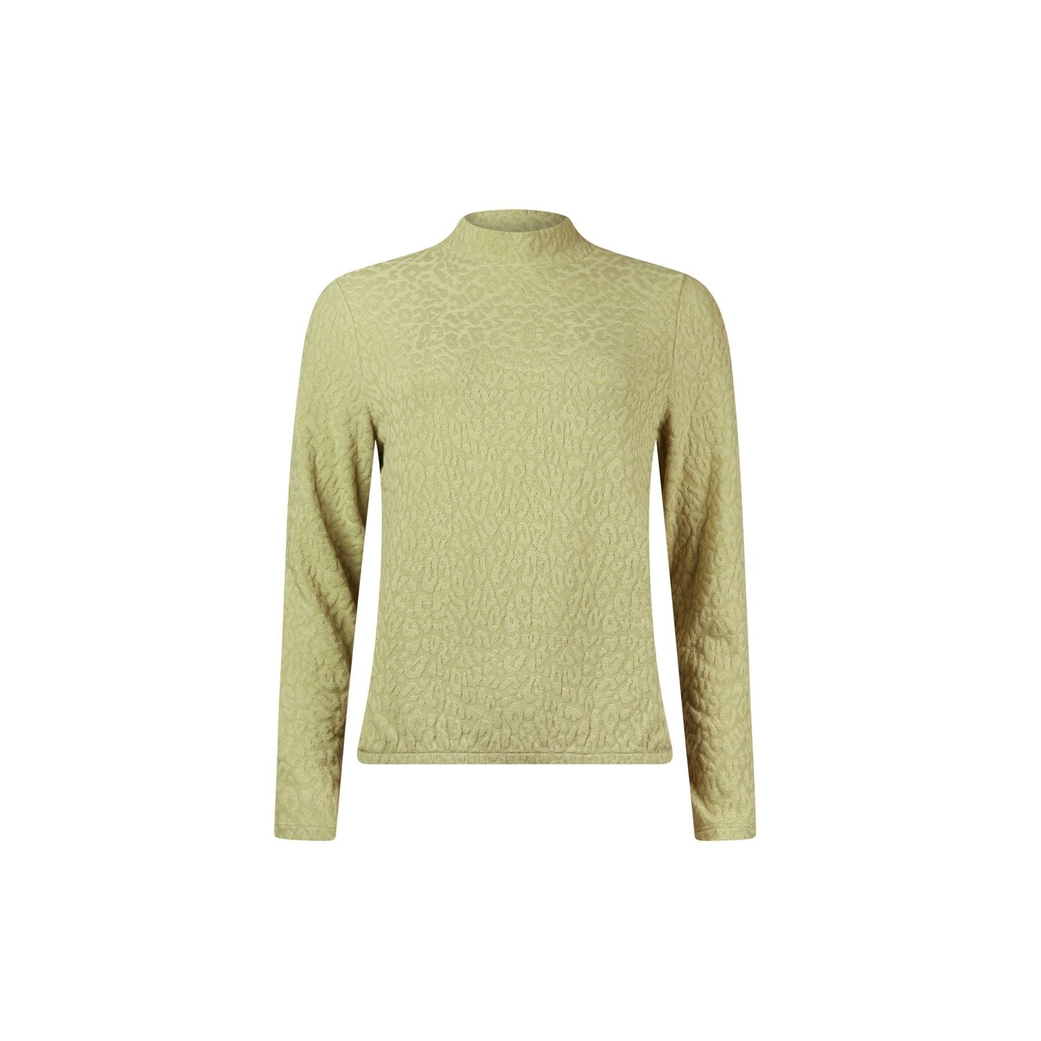 Blouson turtle