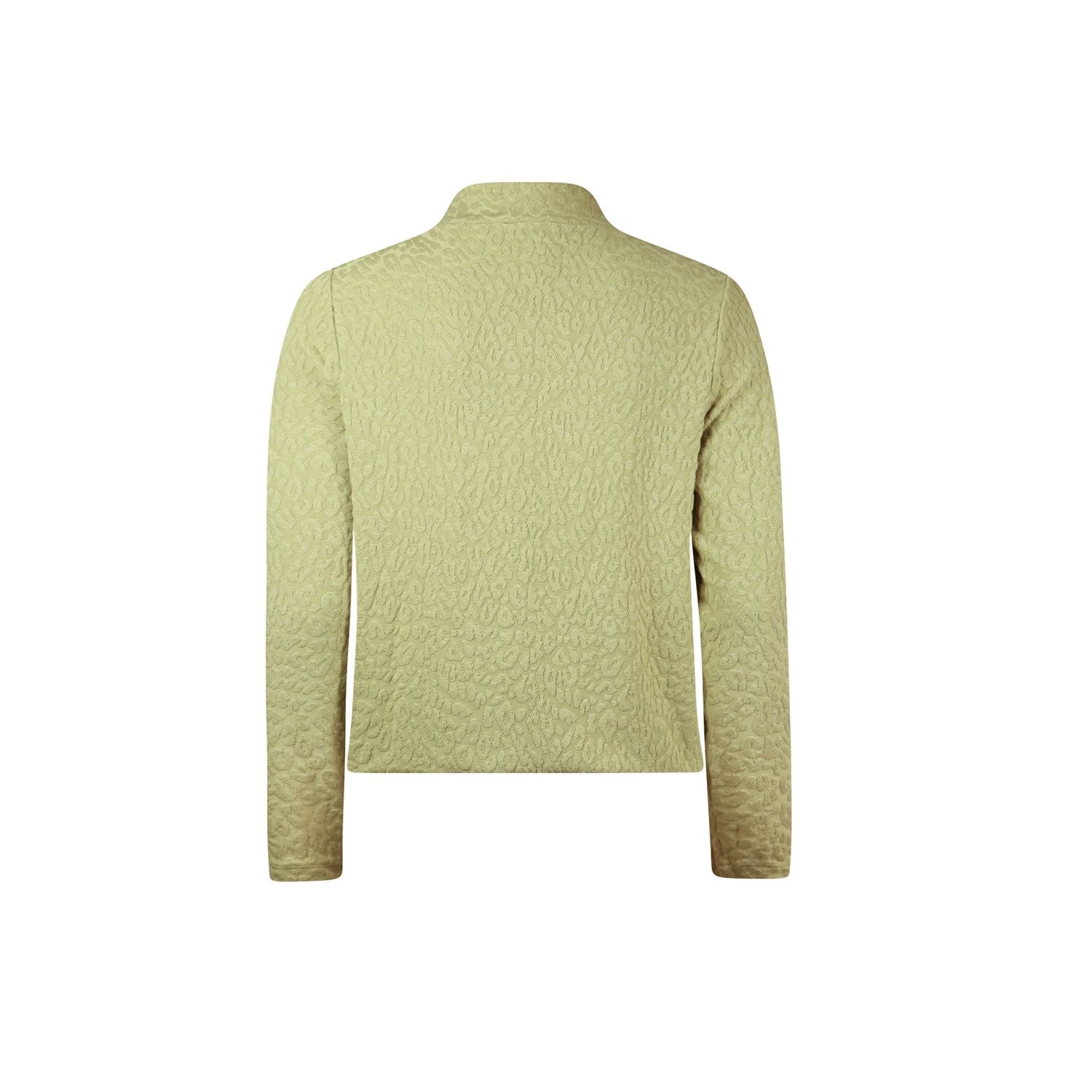 Blouson turtle